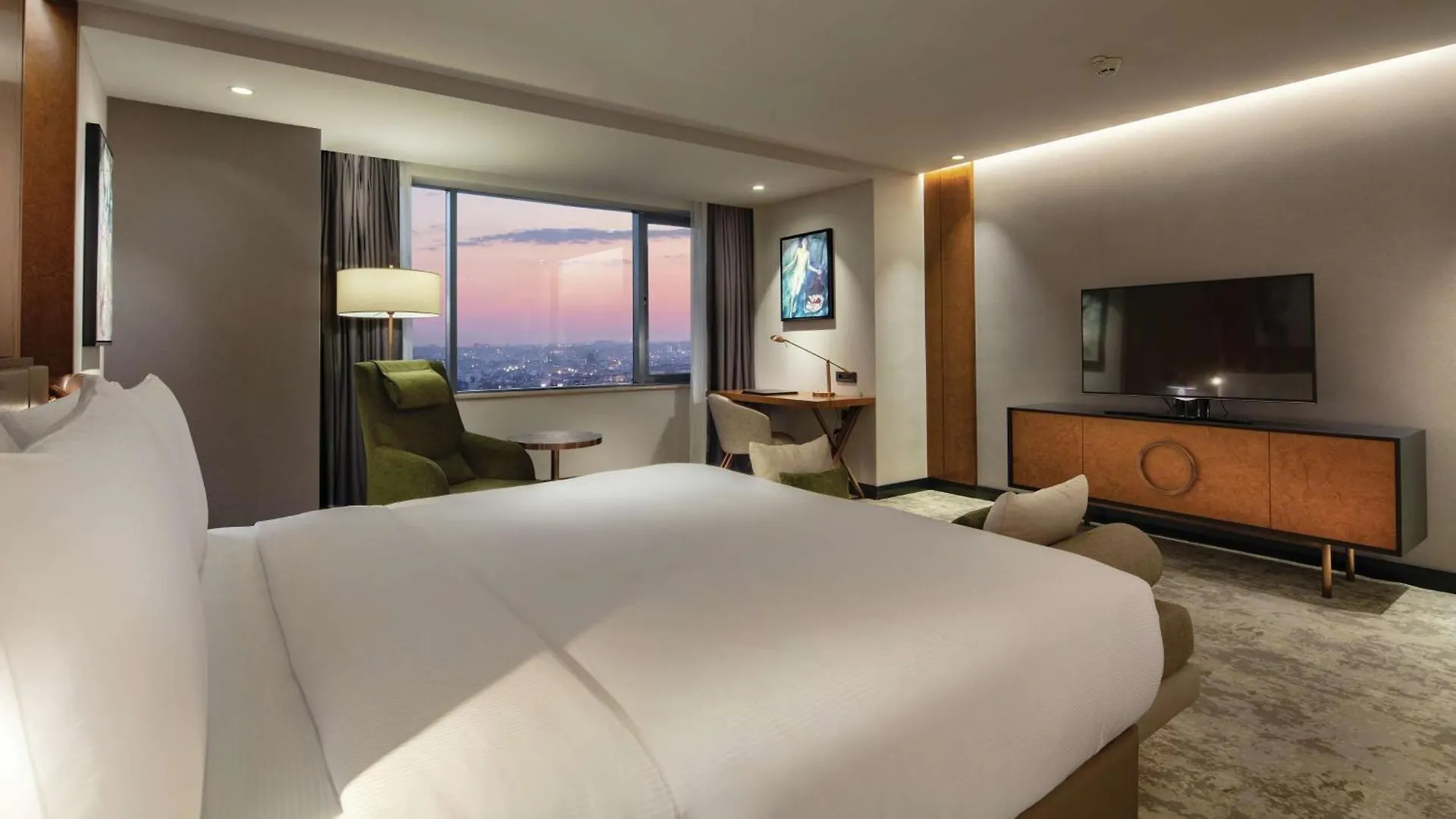 Hotel Hilton Istanbul Maslak