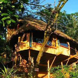 Vanira Maison d'hôtes Teahupoo